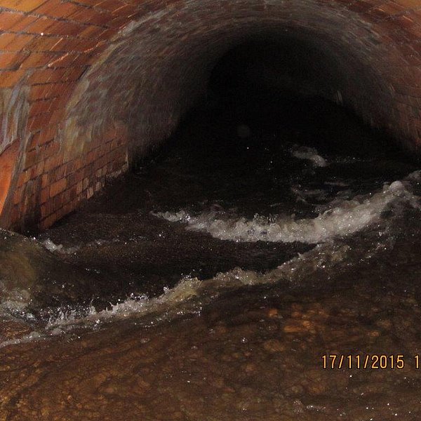 Altkanal mit strömendem Wasser