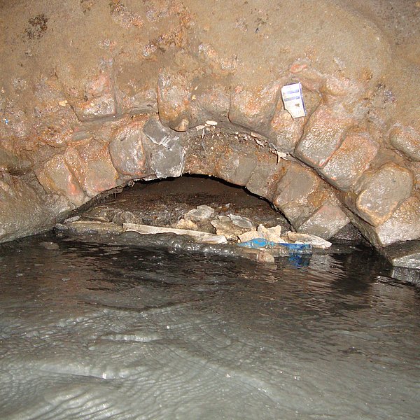 Blick in den Altkanal mit seinen Ablagerungen